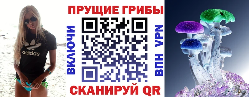 наркотики  Дудинка  Галлюциногенные грибы Magic Shrooms 
